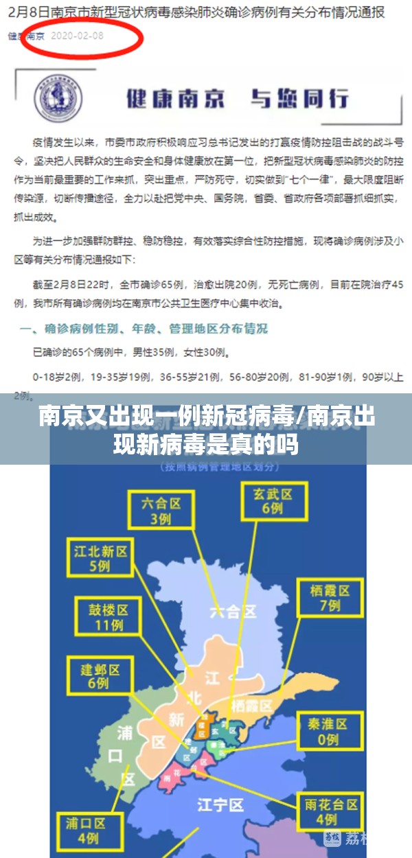 南京又出现一例新冠病毒/南京出现新病毒是真的吗