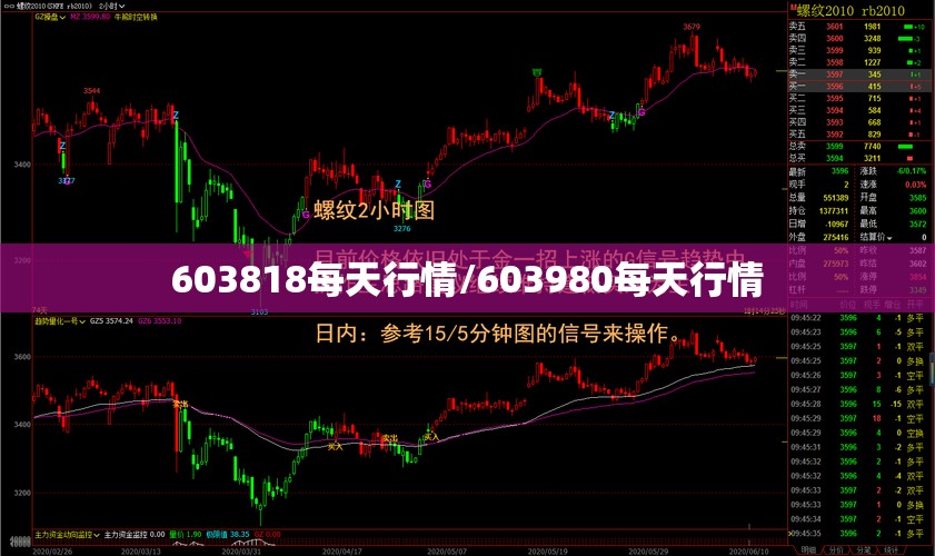 603818每天行情/603980每天行情 603818每天行情/603980每天行情