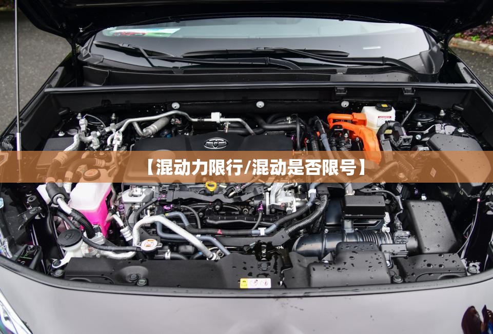 【混动力限行/混动是否限号】 【混动力限行/混动是否限号】