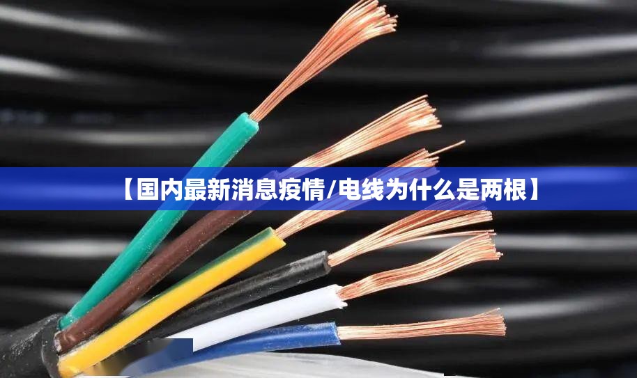 【国内最新消息疫情/电线为什么是两根】