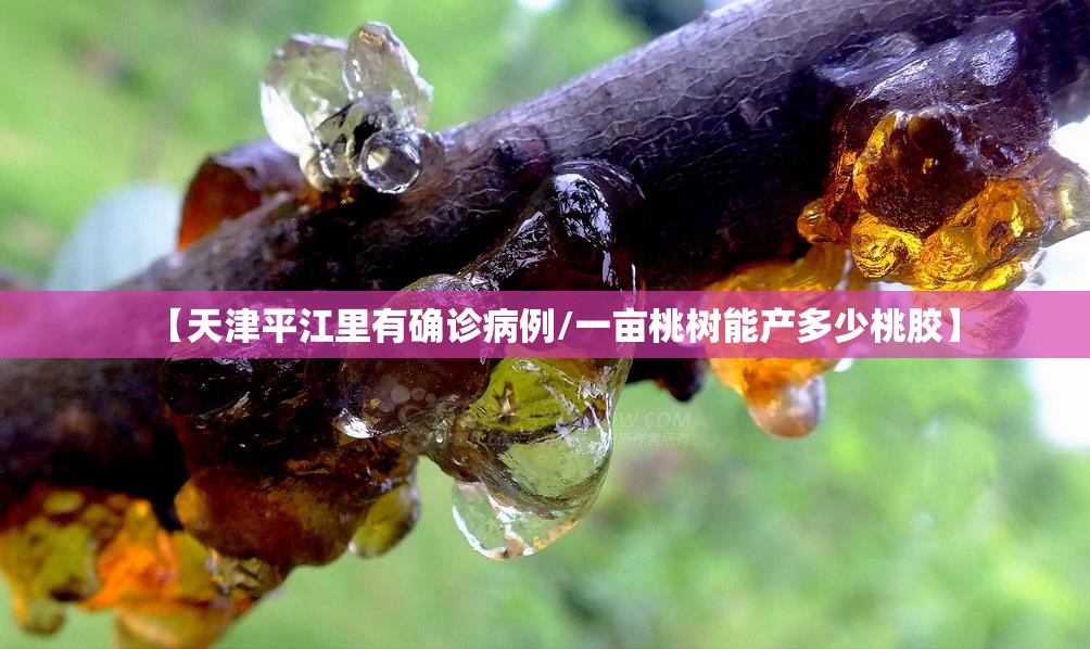 【天津平江里有确诊病例/一亩桃树能产多少桃胶】 【天津平江里有确诊病例/一亩桃树能产多少桃胶】