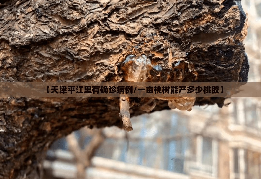 【天津平江里有确诊病例/一亩桃树能产多少桃胶】 【天津平江里有确诊病例/一亩桃树能产多少桃胶】