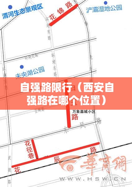 自强路限行（西安自强路在哪个位置）