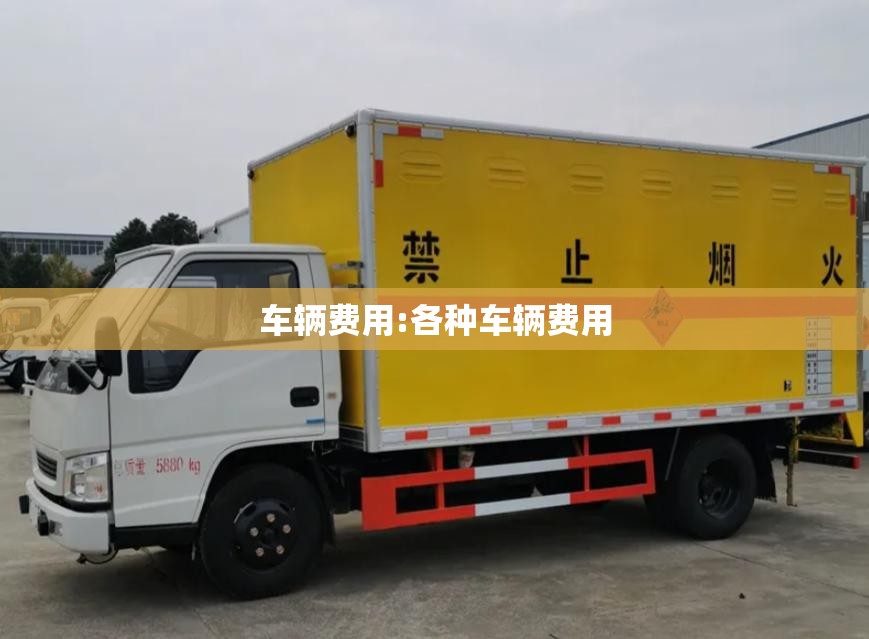 车辆费用:各种车辆费用 车辆费用:各种车辆费用