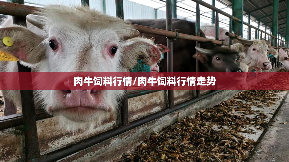 肉牛饲料行情/肉牛饲料行情走势 肉牛饲料行情/肉牛饲料行情走势