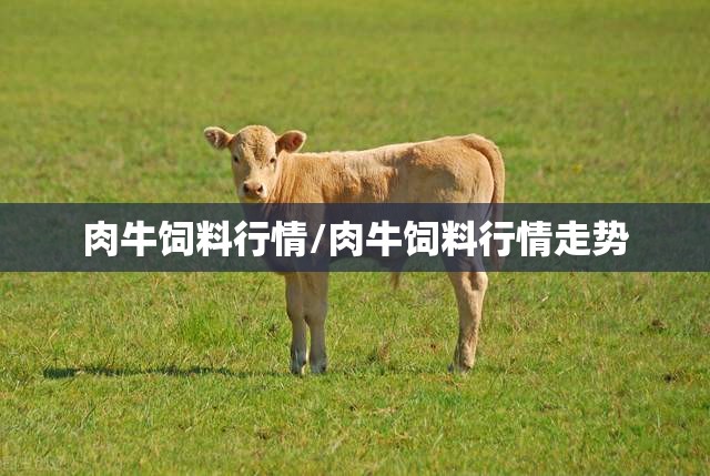 肉牛饲料行情/肉牛饲料行情走势 肉牛饲料行情/肉牛饲料行情走势