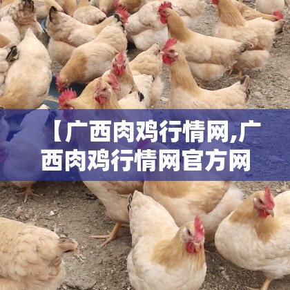 【广西肉鸡行情网,广西肉鸡行情网官方网站】 【广西肉鸡行情网,广西肉鸡行情网官方网站】
