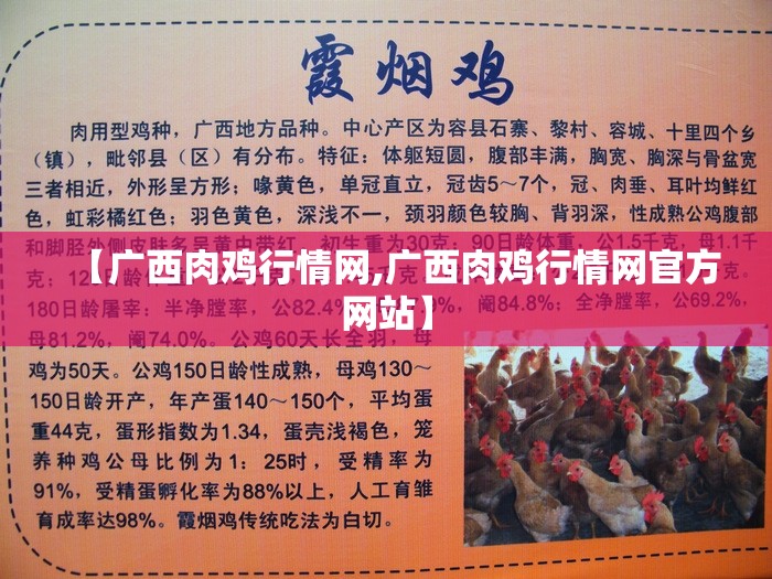 【广西肉鸡行情网,广西肉鸡行情网官方网站】 【广西肉鸡行情网,广西肉鸡行情网官方网站】