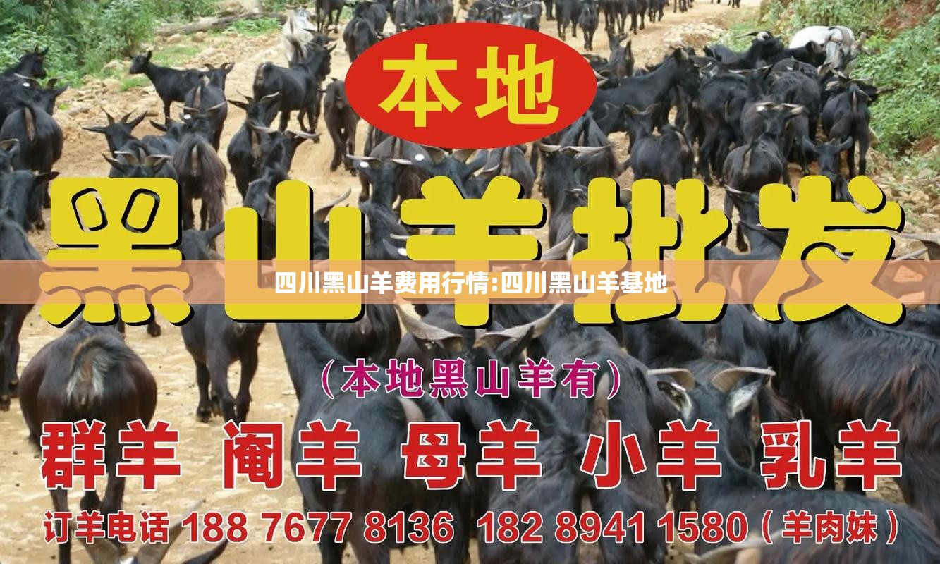 四川黑山羊费用行情:四川黑山羊基地 四川黑山羊费用行情:四川黑山羊基地