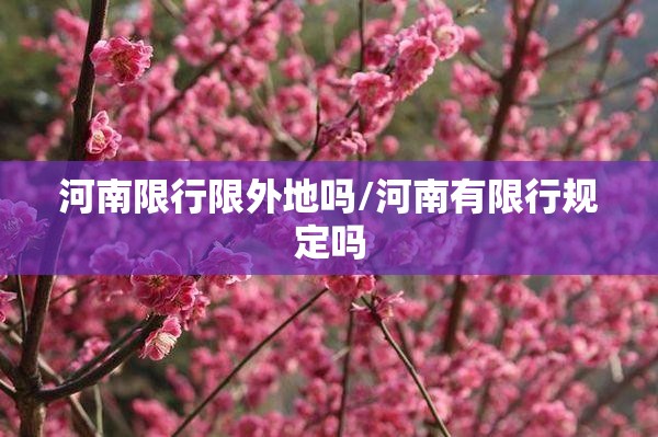 河南限行限外地吗/河南有限行规定吗