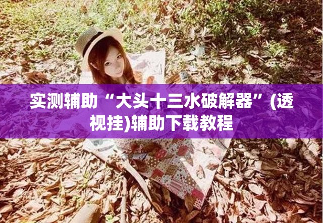 实测辅助“大头十三水破解器	”(透视挂)辅助下载教程