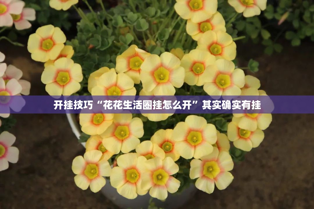 开挂技巧“花花生活圈挂怎么开”其实确实有挂