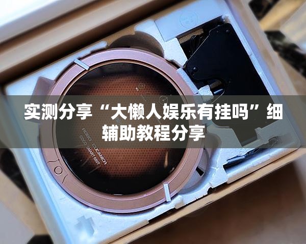 实测分享“大懒人娱乐有挂吗”细辅助教程分享