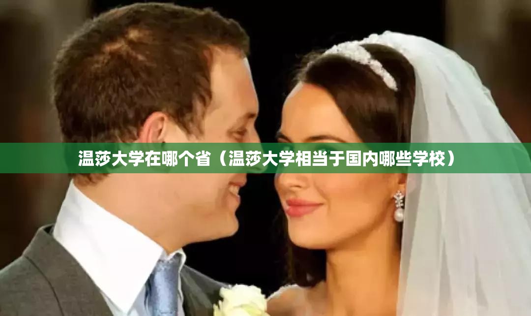 温莎大学在哪个省（温莎大学相当于国内哪些学校）