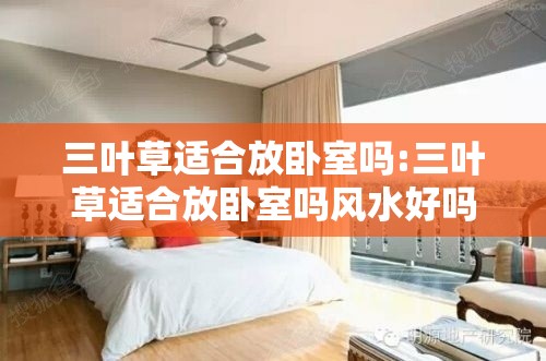 三叶草适合放卧室吗:三叶草适合放卧室吗风水好吗