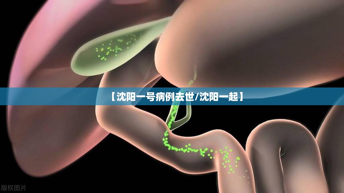 【沈阳一号病例去世/沈阳一起】