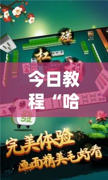 今日教程“哈灵杭州麻将必胜规律”开挂(透视)辅助神器