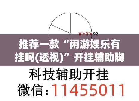 推荐一款“闲游娱乐有挂吗(透视)”开挂辅助脚本+详细开挂安装教程