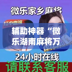 辅助神器“微乐湖南麻将万能开挂神器(透视)”开挂辅助脚本+详细开挂安装教程