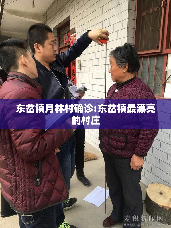 东岔镇月林村确诊:东岔镇最漂亮的村庄