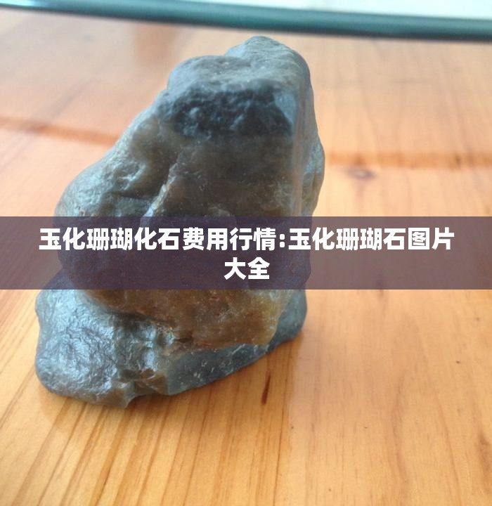 玉化珊瑚化石费用行情:玉化珊瑚石图片大全