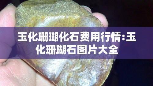玉化珊瑚化石费用行情:玉化珊瑚石图片大全 玉化珊瑚化石费用行情:玉化珊瑚石图片大全