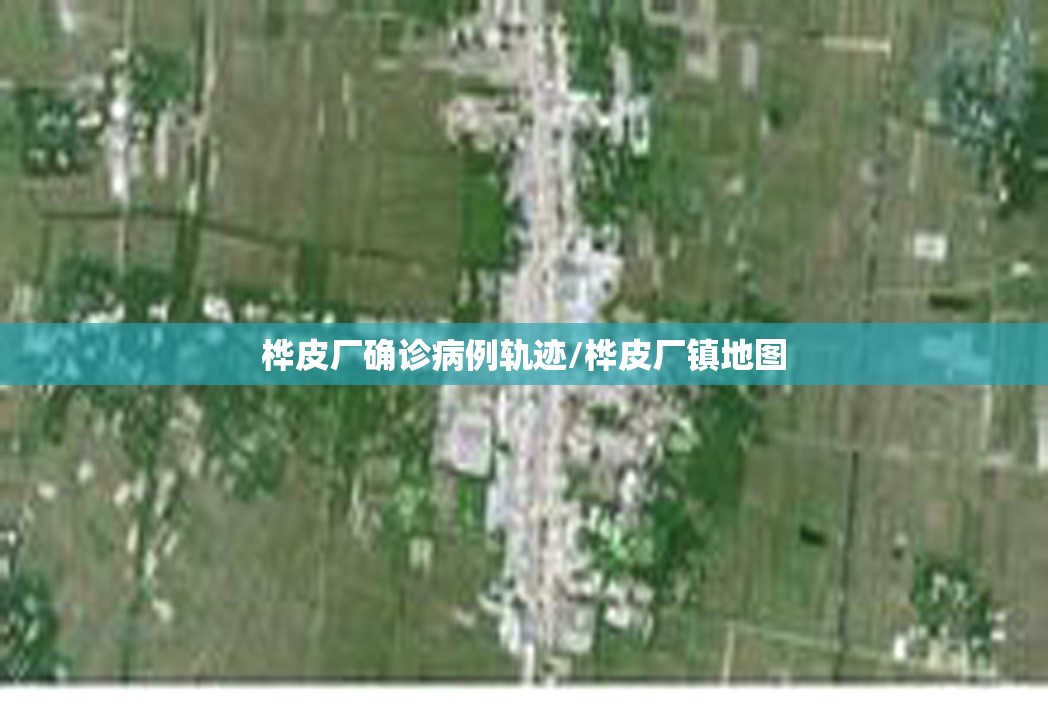 桦皮厂确诊病例轨迹/桦皮厂镇地图