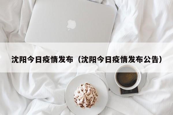 沈阳今日疫情发布(沈阳今日疫情发布公告)