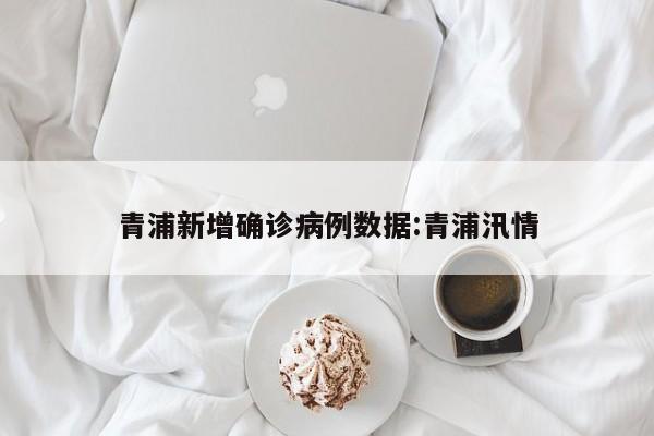青浦新增确诊病例数据:青浦汛情