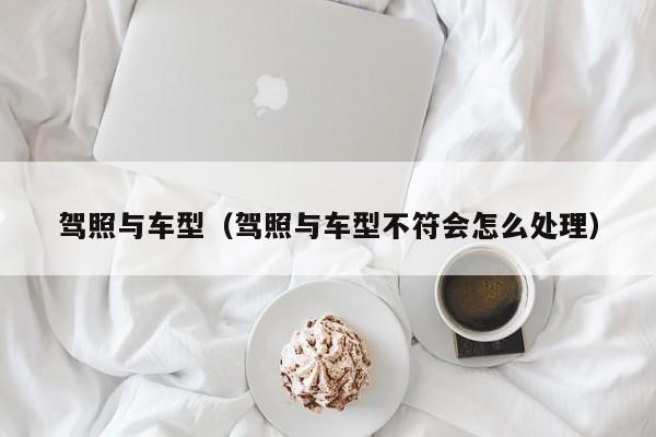 驾照与车型(驾照与车型不符会怎么处理)