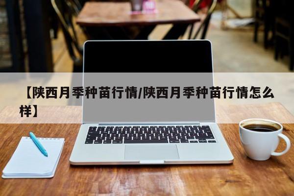 【陕西月季种苗行情/陕西月季种苗行情怎么样】