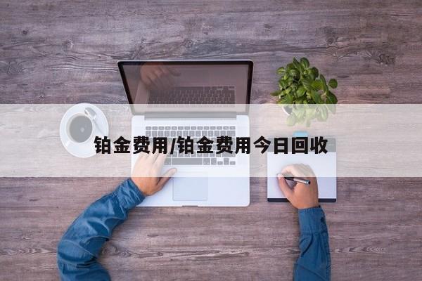 铂金费用/铂金费用今日回收