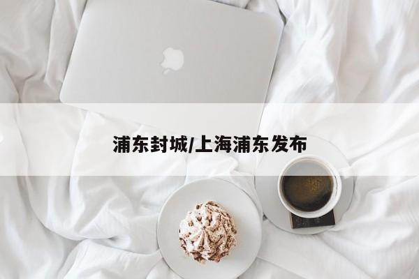 浦东封城/上海浦东发布