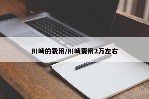 川崎的费用/川崎费用2万左右