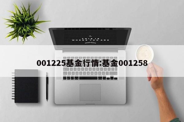 001225基金行情:基金001258