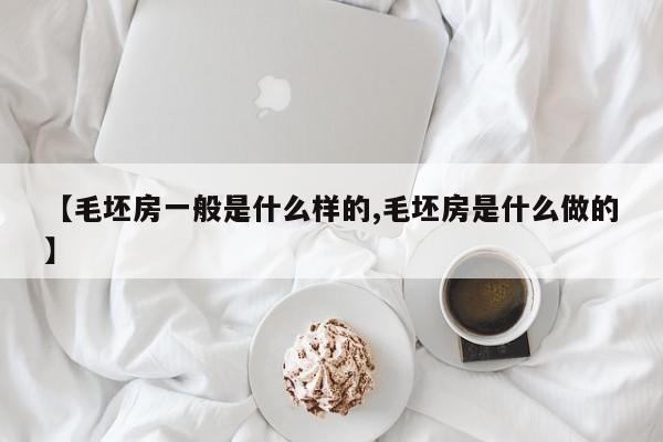 【毛坯房一般是什么样的,毛坯房是什么做的】